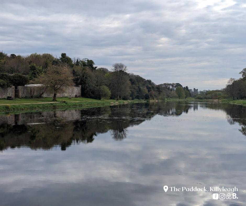 The Paddock Lejlighed Killyleagh Eksteriør billede