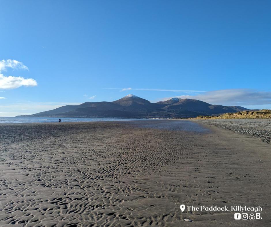 The Paddock Lejlighed Killyleagh Eksteriør billede