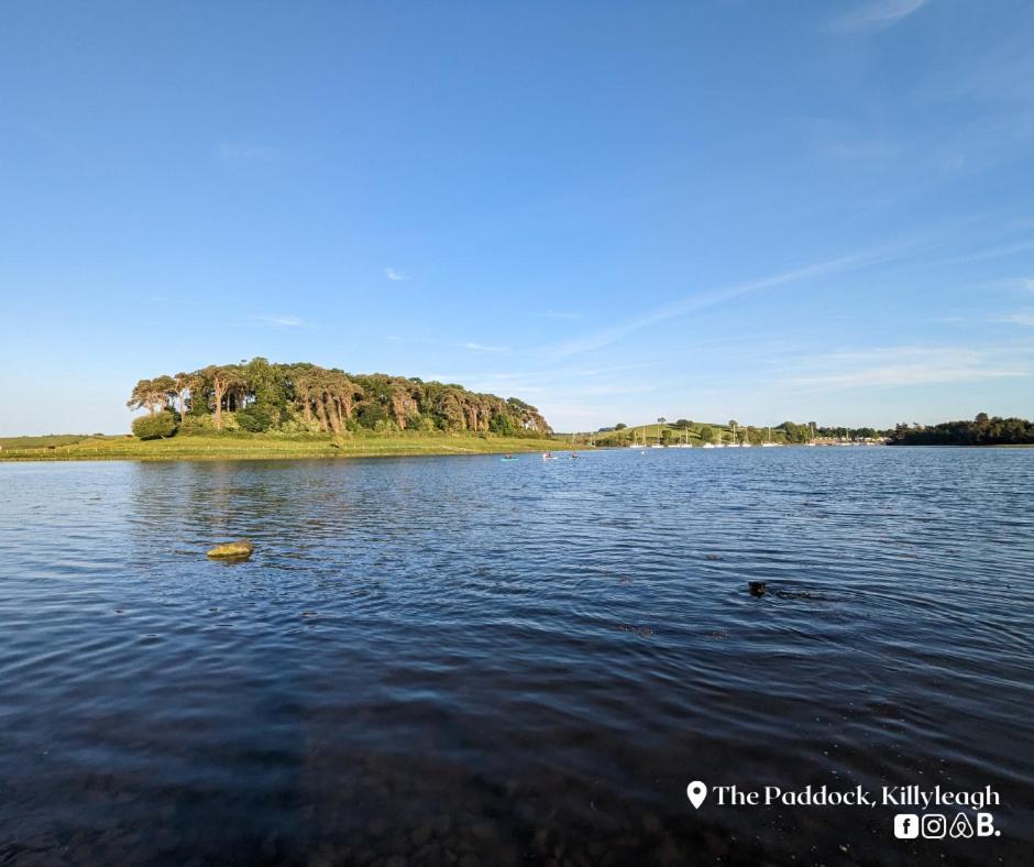 The Paddock Lejlighed Killyleagh Eksteriør billede
